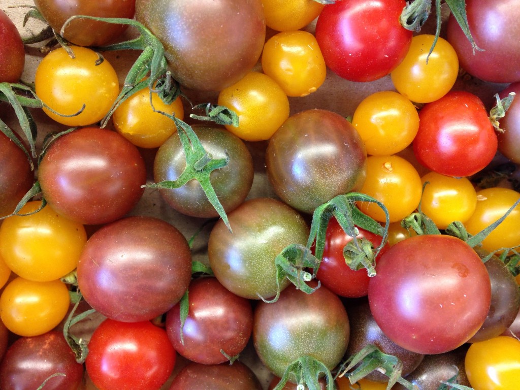 フランスのトマト、たくさんの種類があってカラフル！