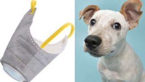 Alibaba/Yantai Minghua Textile Technology Co., Ltd